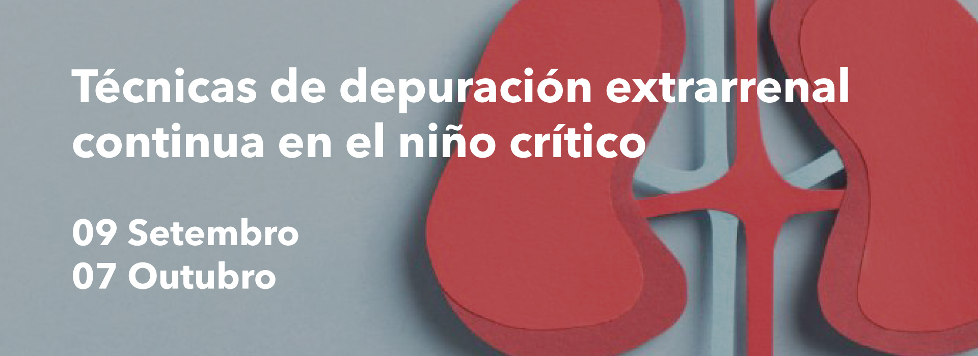 Banner Tecnicas Depuracion