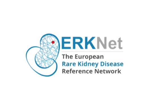 Erknet Webinar
